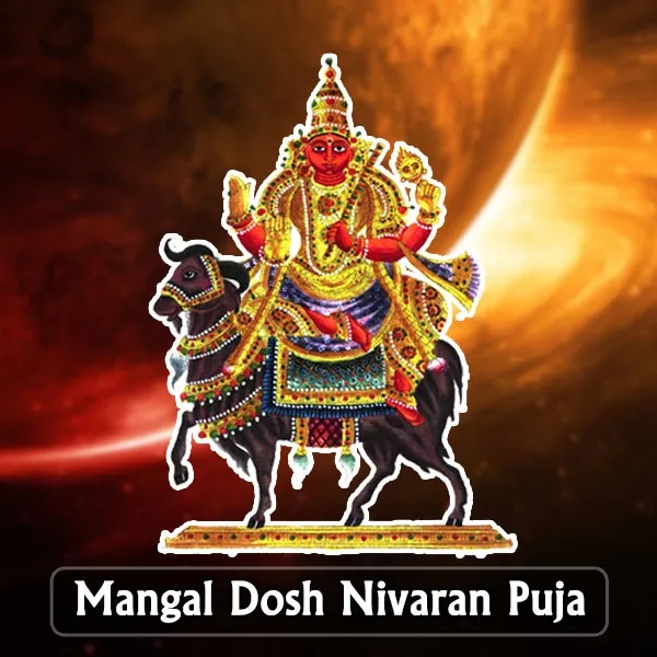 Navagraha Shanti Puja